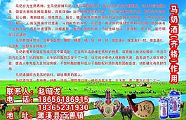 馬奶酒圖片