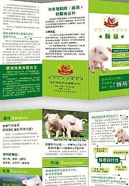 豬飼料圖片