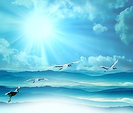 翱翔海鷗設(shè)計(jì)