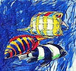 熱帶魚圖片