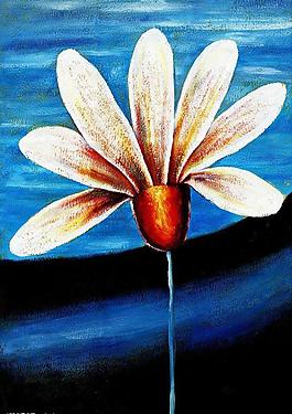 花卉圖片