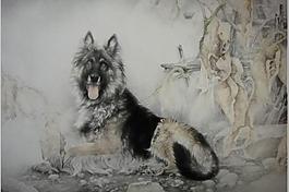 獵犬圖片