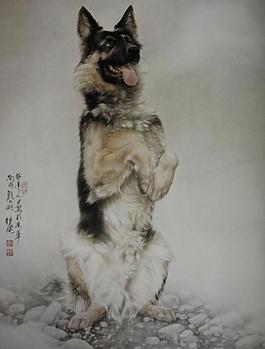 獵犬圖片
