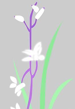 移門 花圖片