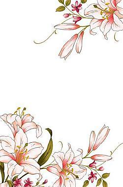 線條花移門圖片