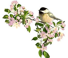 移門花鳥圖案圖片