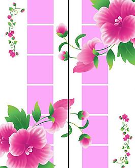 移門花圖片