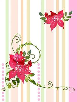 移門花圖片