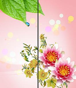 移門花葉圖片