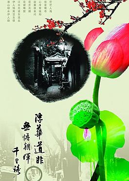 荷花圖片