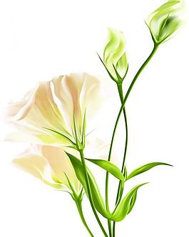 春暖花香圖片
