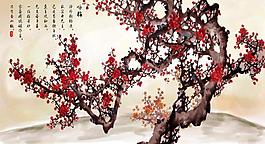 梅花圖片