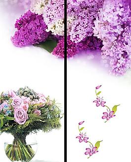 移門花圖片