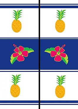 移门菠萝花图片