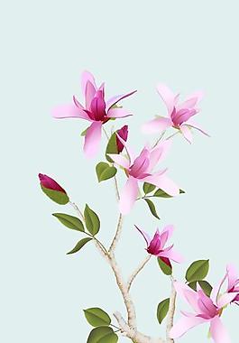 移門(mén)花鳥(niǎo)圖片