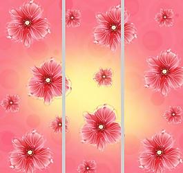 移門花圖片