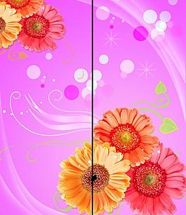 移門夢幻菊花圖片