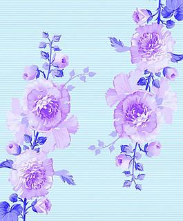 移門花圖片