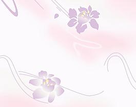 荷花圖片