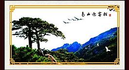 南山迎客松圖片