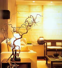 室內(nèi)設(shè)計(jì)實(shí)景照片資料圖片