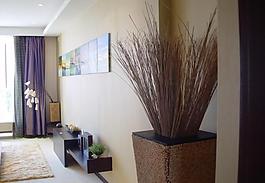 室內(nèi)設(shè)計(jì)實(shí)景照片資料圖片