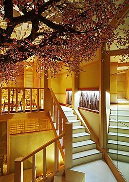 室內(nèi)設(shè)計(jì)實(shí)景照片資料圖片