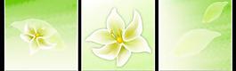 無框畫圖片