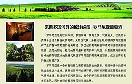 葡萄酒 紅酒素材圖片