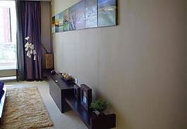 室內(nèi)設(shè)計實景照片資料圖片