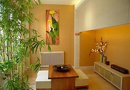 室內(nèi)設(shè)計(jì)實(shí)景照片資料圖片