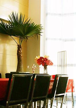 室內(nèi)設(shè)計(jì)實(shí)景照片資料圖片