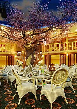 室內(nèi)設(shè)計(jì)實(shí)景照片資料圖片