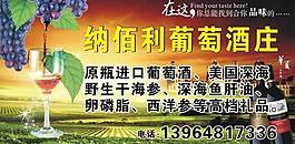 葡萄酒广告图片