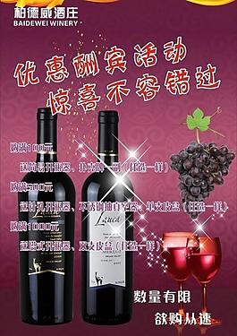 柏德酒莊圖片