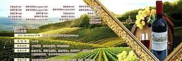 葡萄酒圖片