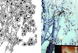 百合花圖片