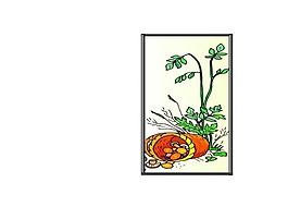 移門花紋圖片