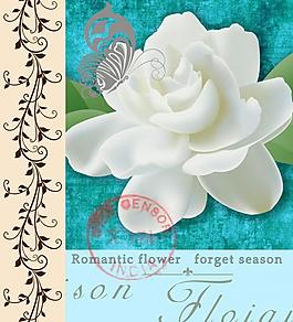 花卉無(wú)框畫(huà)圖片
