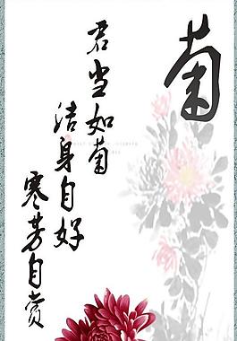 紅色菊花圖片