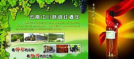 葡萄酒圖片