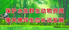 保護生態(tài)圖片