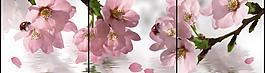 春暖花開圖片