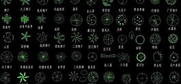 园林树木图库图片