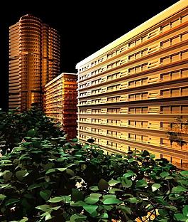 城市高樓圖片
