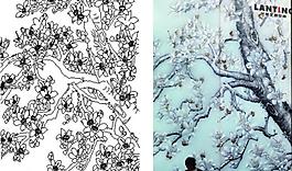 百合花圖片
