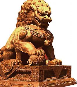 金獅子圖片