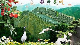 鶴舞長城圖片