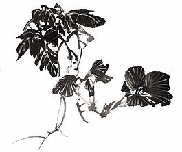 psd分層素材透明背景中國畫水墨植物圖片