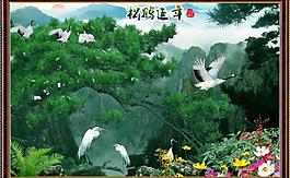 松鶴延年圖片
